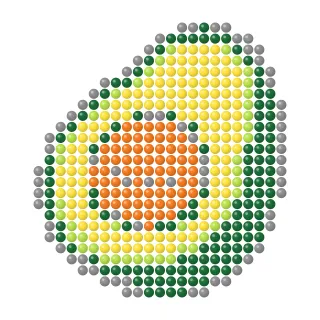 Avocado half fuse bead pattern